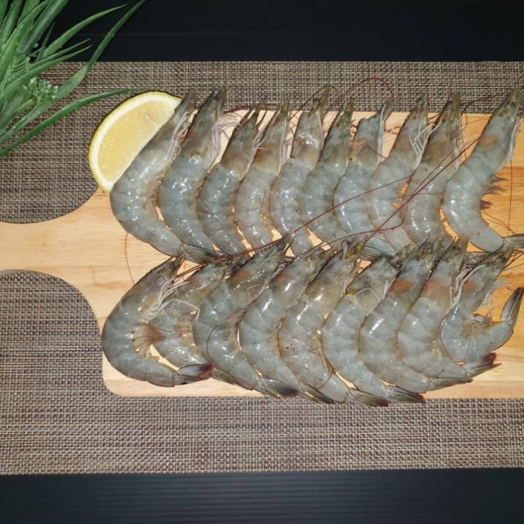 Farm Prawns
