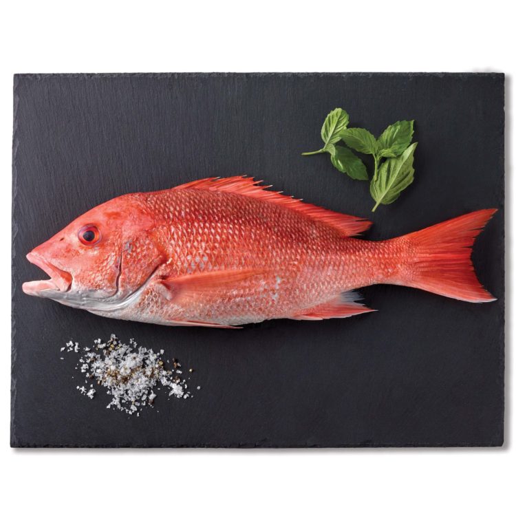 Red Snapper (Ikan Merah)