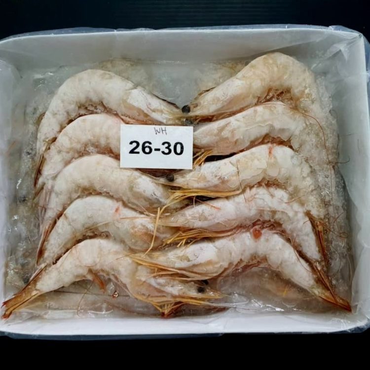 Sea Prawns