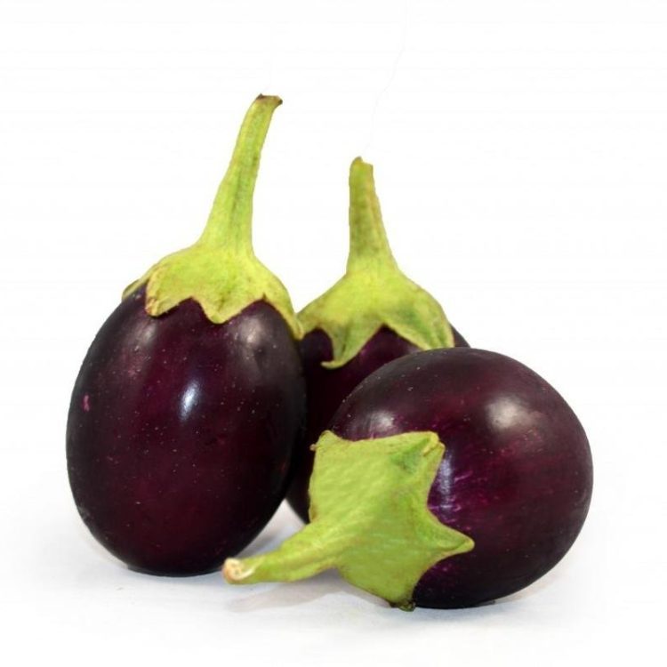 Brinjal Round (1 piece)