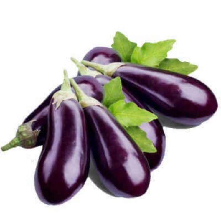 Brinjal Eggplant (+/= 500 gm / 2-3 pieces)
