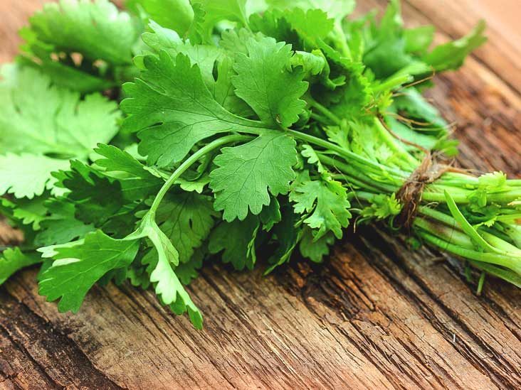 Coriander (100 gm)