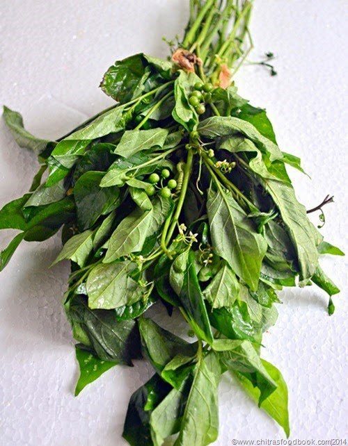Black Nightshade (Manathakkali keerai) (1 stack)