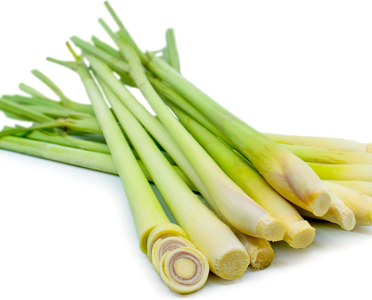 Lemon Grass (1 stack)