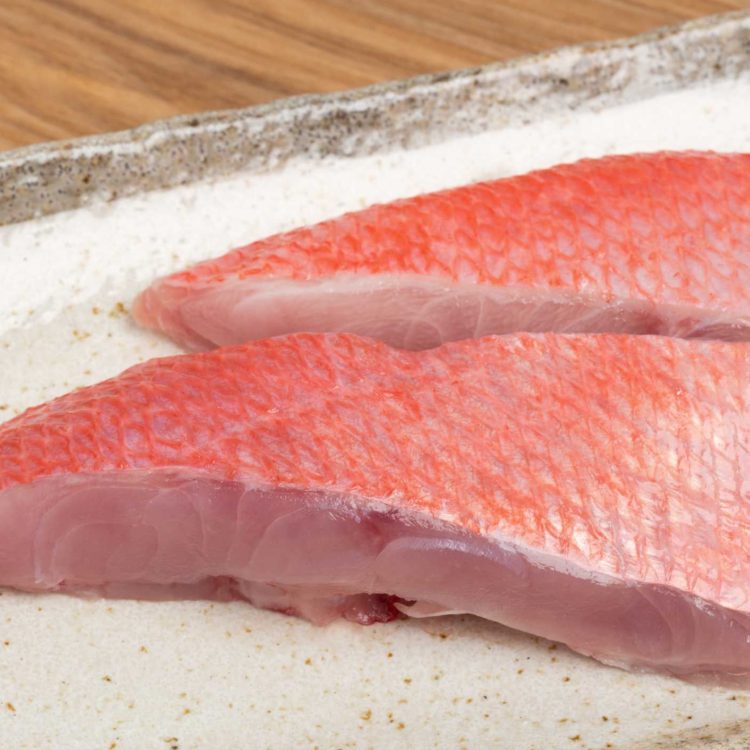 Red Snapper Fish Fillet