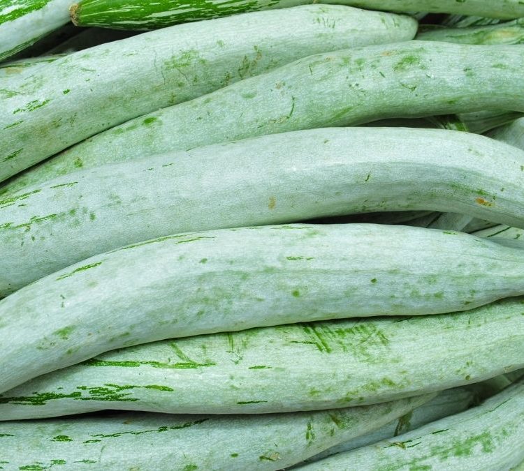 Snake Gourd (Petola) 1 piece
