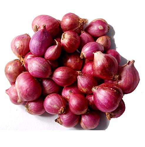 Small Onion (1 kg)