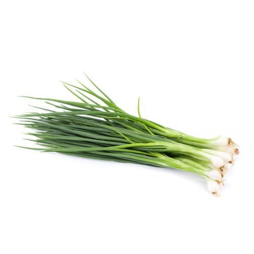 Spring Onion